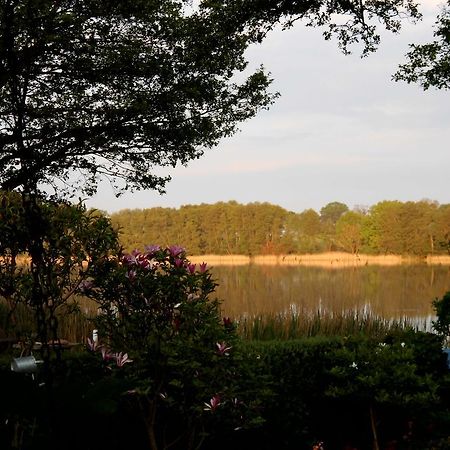 Bungalow Idylle Am See Neuruppin Eksteriør bilde