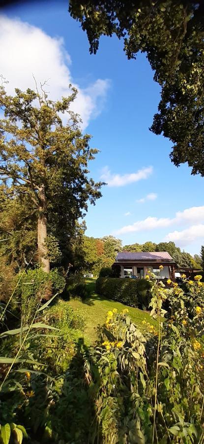 Bungalow Idylle Am See Neuruppin Eksteriør bilde
