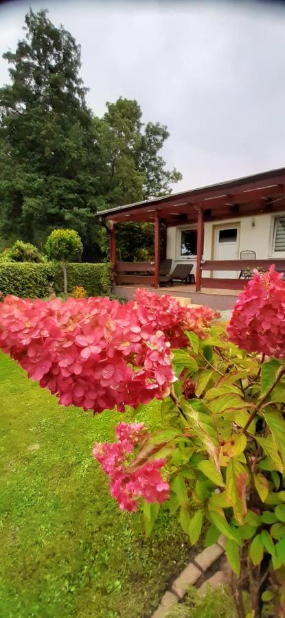 Bungalow Idylle Am See Neuruppin Eksteriør bilde