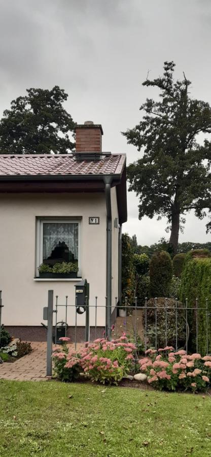 Bungalow Idylle Am See Neuruppin Eksteriør bilde