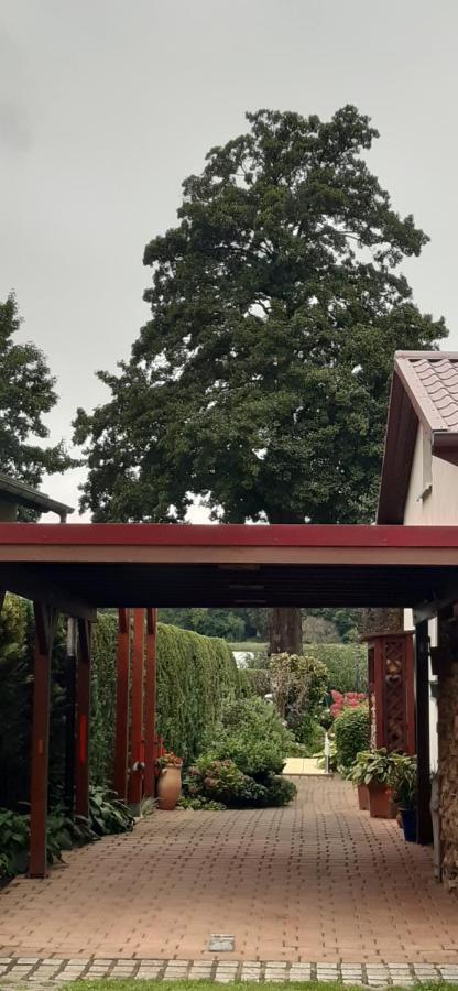 Bungalow Idylle Am See Neuruppin Eksteriør bilde