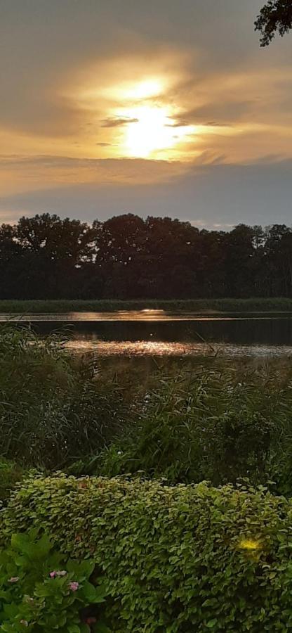 Bungalow Idylle Am See Neuruppin Eksteriør bilde