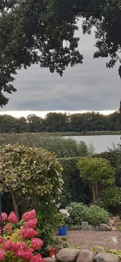 Bungalow Idylle Am See Neuruppin Eksteriør bilde