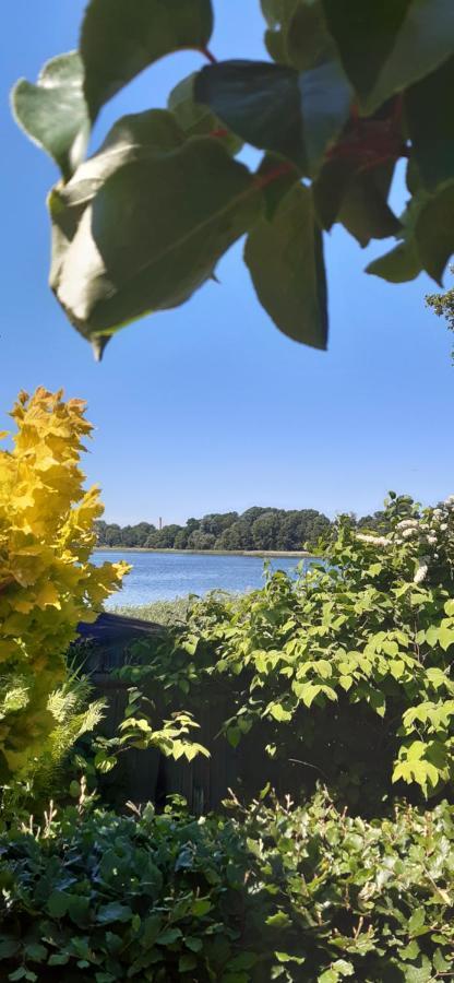 Bungalow Idylle Am See Neuruppin Eksteriør bilde