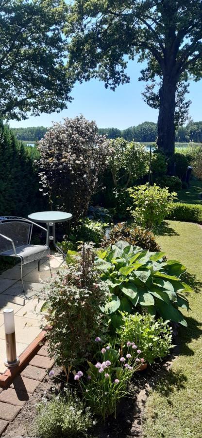 Bungalow Idylle Am See Neuruppin Eksteriør bilde