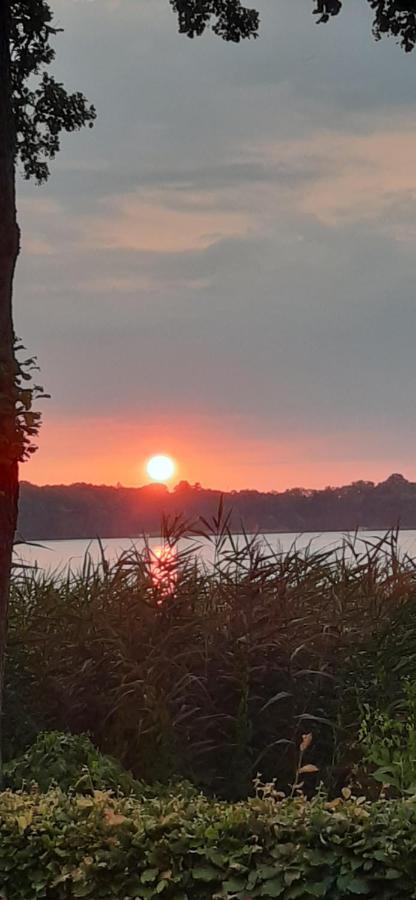 Bungalow Idylle Am See Neuruppin Eksteriør bilde
