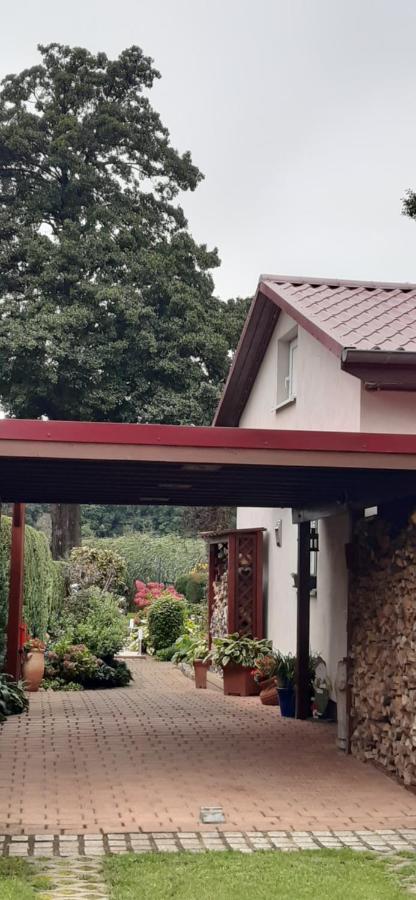 Bungalow Idylle Am See Neuruppin Eksteriør bilde