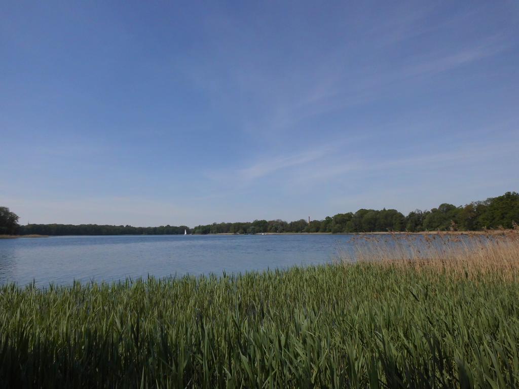 Bungalow Idylle Am See Neuruppin Eksteriør bilde