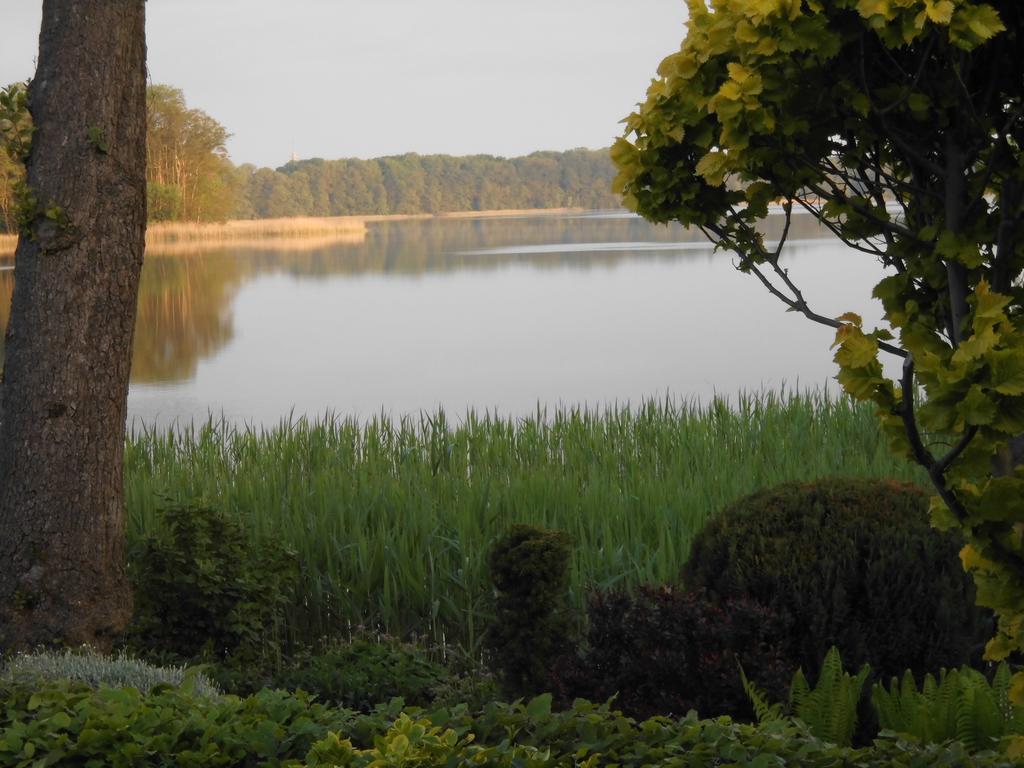 Bungalow Idylle Am See Neuruppin Eksteriør bilde