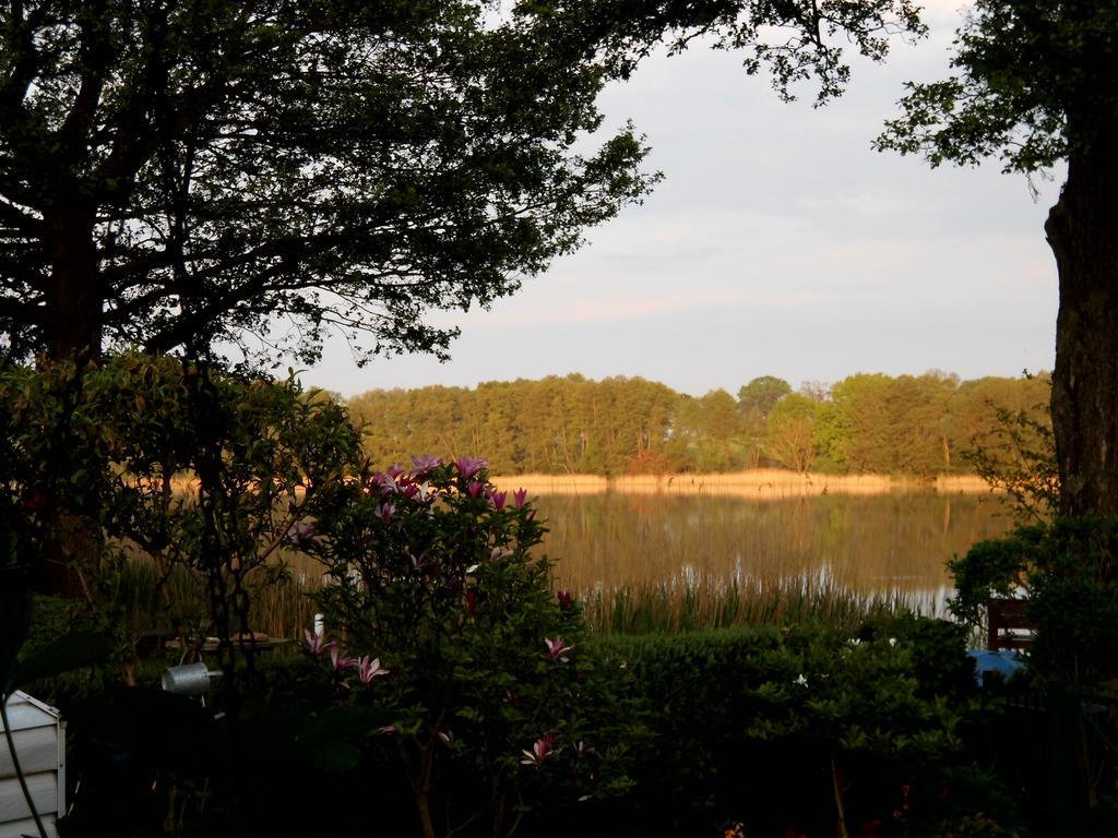 Bungalow Idylle Am See Neuruppin Eksteriør bilde
