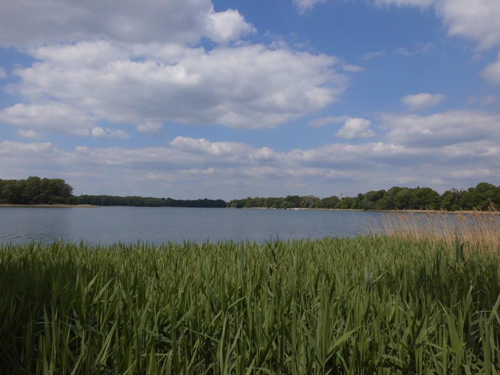 Bungalow Idylle Am See Neuruppin Eksteriør bilde